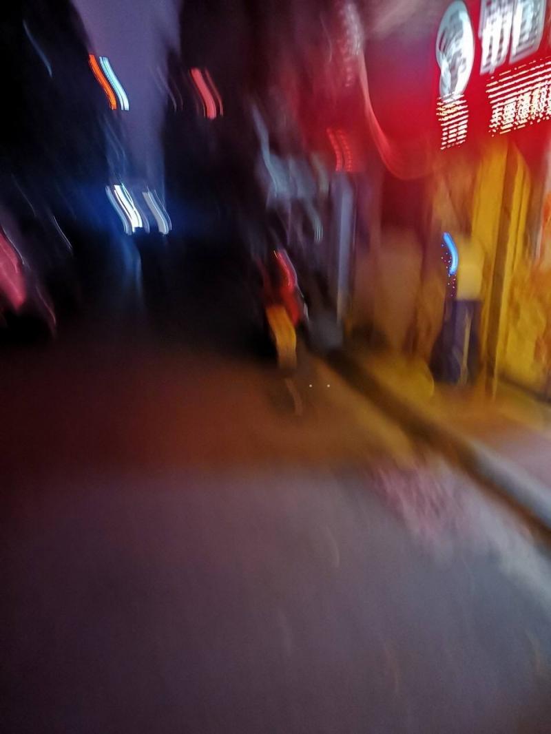 玉兰路现在已经全面复苏了，玉兰